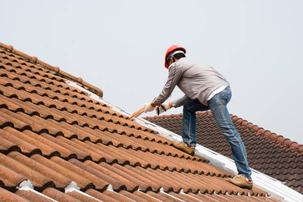 Best Roof Insulation Installation  in Bladenboro, NC